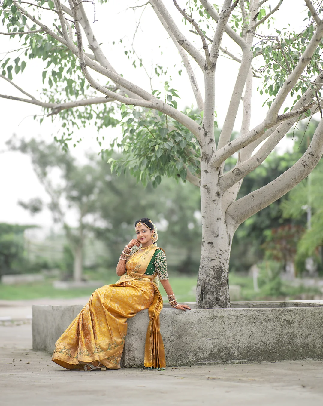 Wide view of Harini Veena seated beneath a large tree in a mustard Kanjivaram silk saree